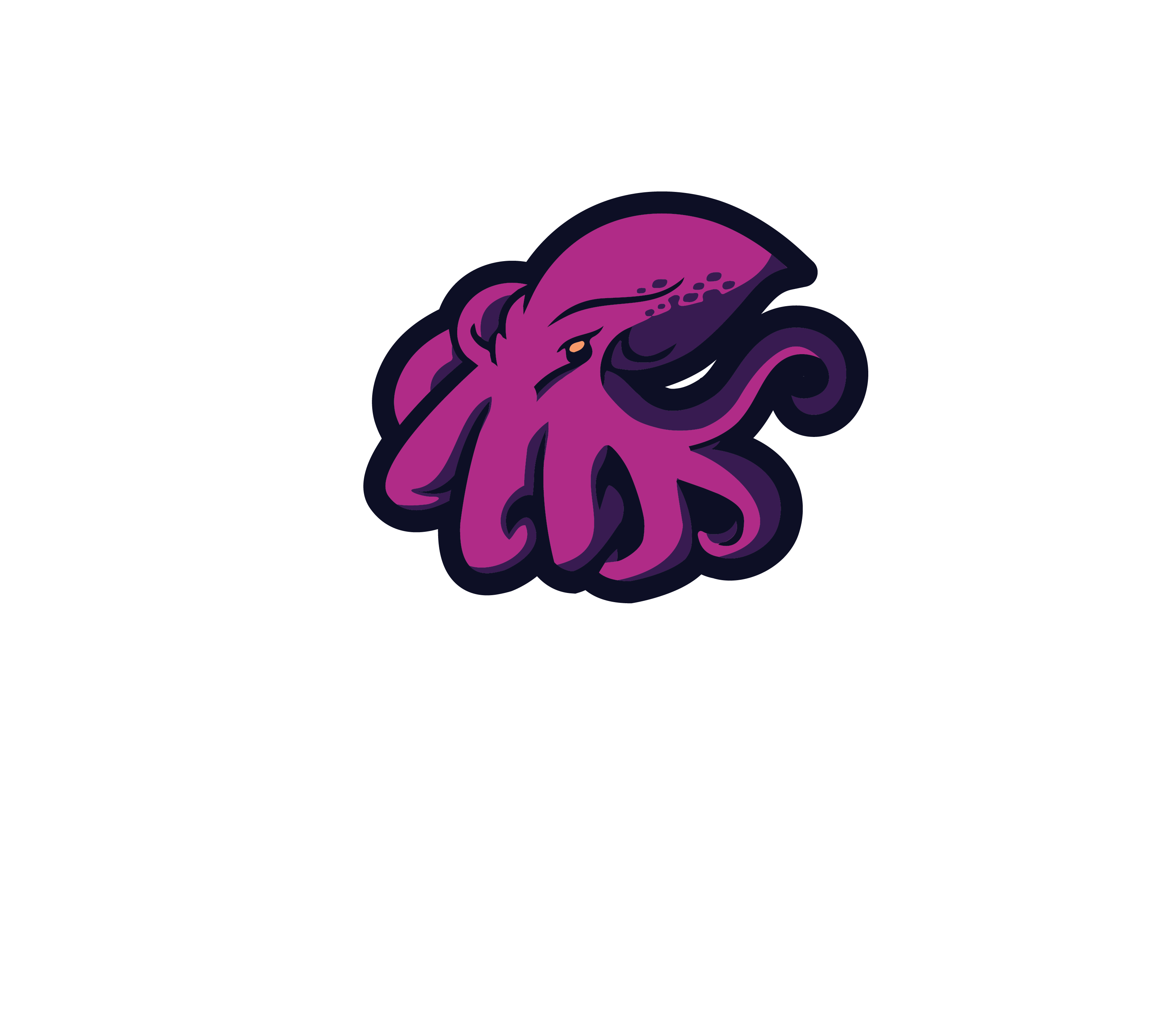 Cuttlefish Colors