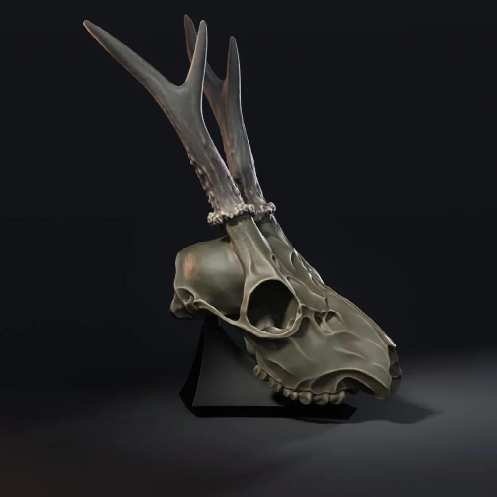 Deer Skull
