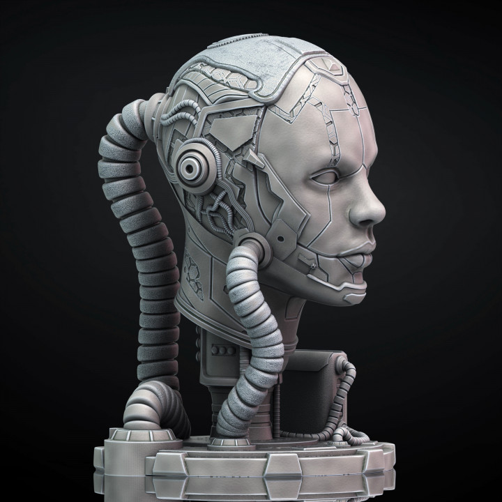 Cyborg (Pre-Supported)