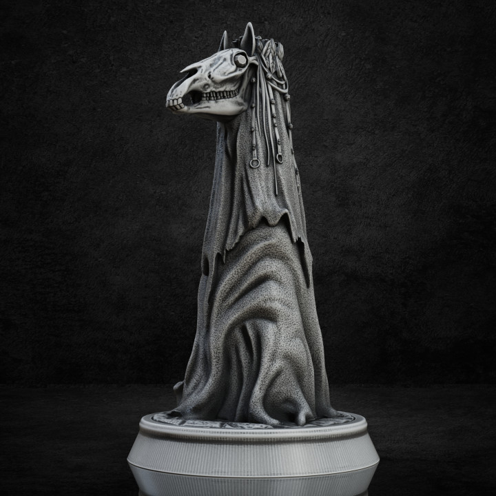 Mari Lwyd (Pre- Supported)