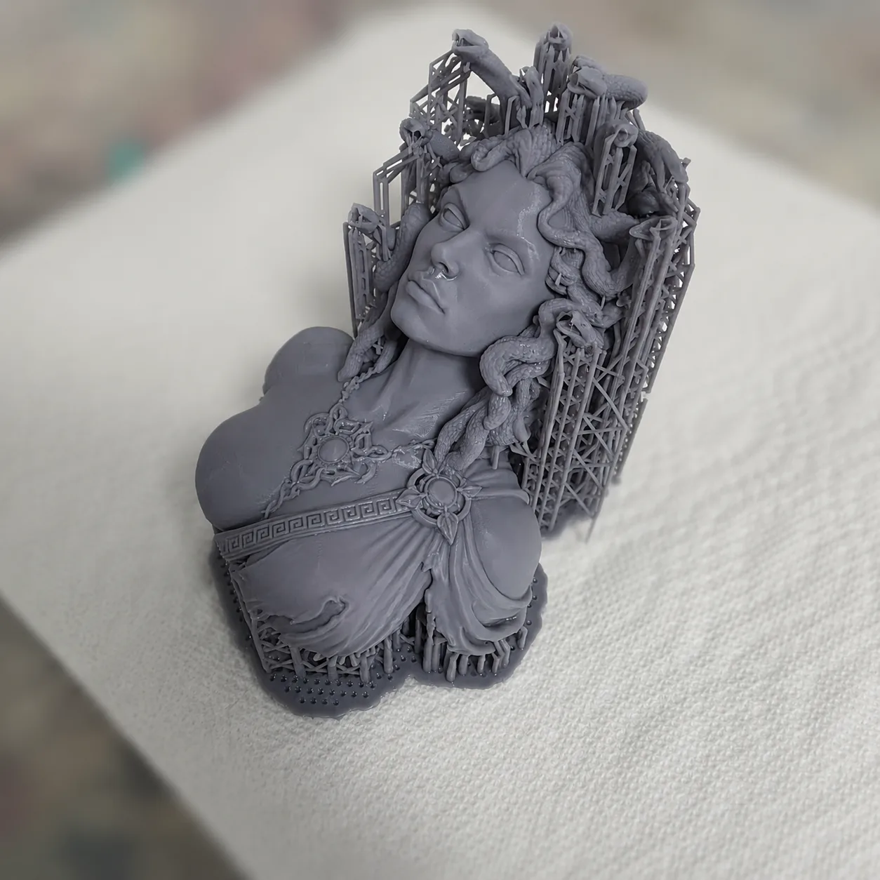 Medusa, straight off the plate