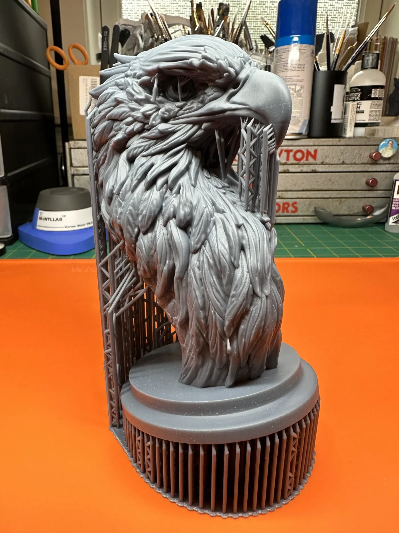 Bald Eagle, straight off the plate
