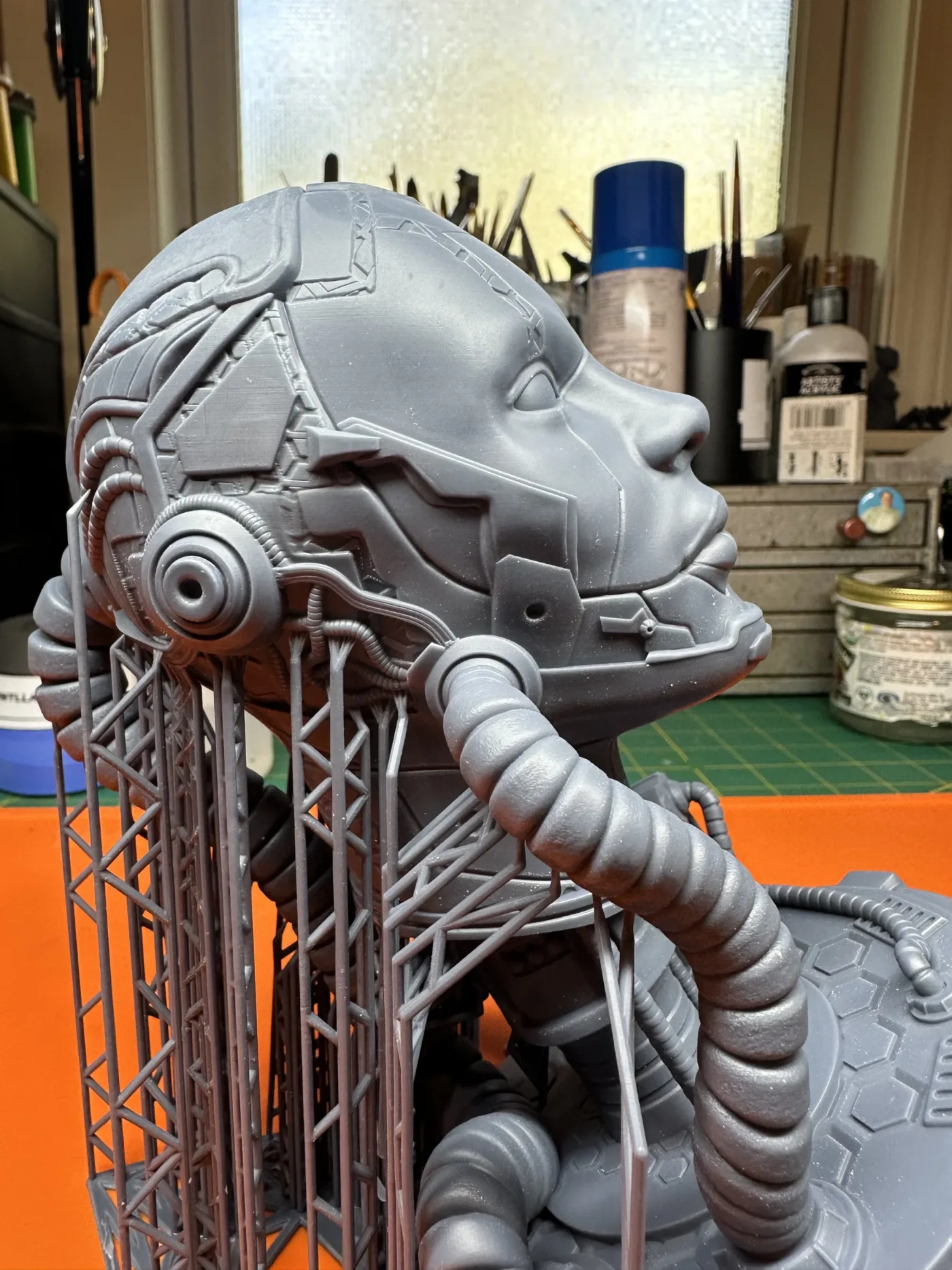 Cyborg, straight off the plate