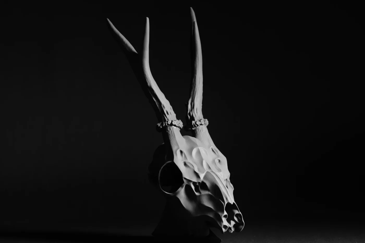 Deer Skull, printed in resin