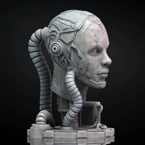 Cyborg