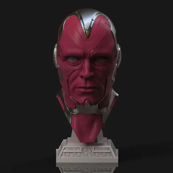 Vision Head